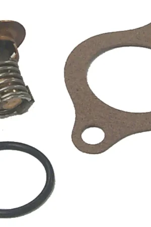 Thermostat Kit Big Sale