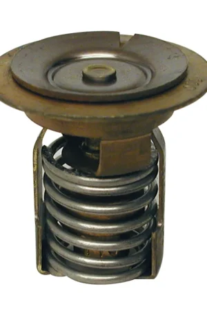 Weekend Sale 110° Thermostat 850055