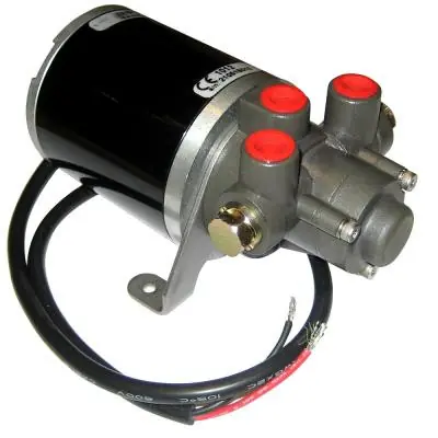 Best Price Sitex OCTAFG1012 18CI Reversing Pumpset, 12 VDC