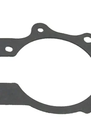 Authentic Sierra Gasket 18-2903